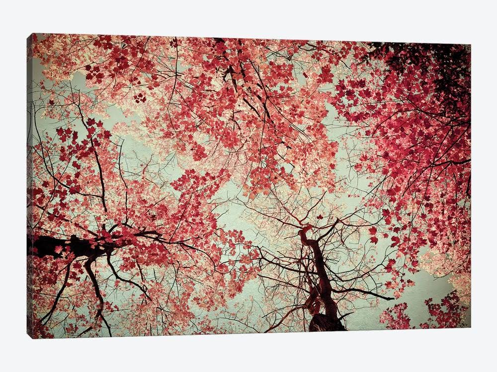 Canvas Prints W4639