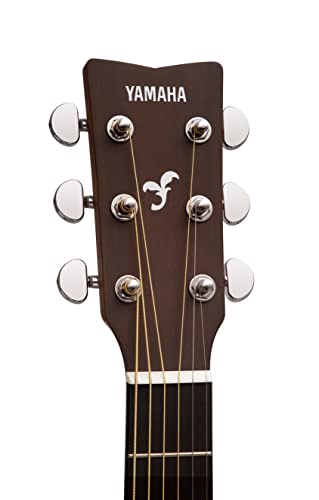 Natural Solid Top Acoustic Guitar D594