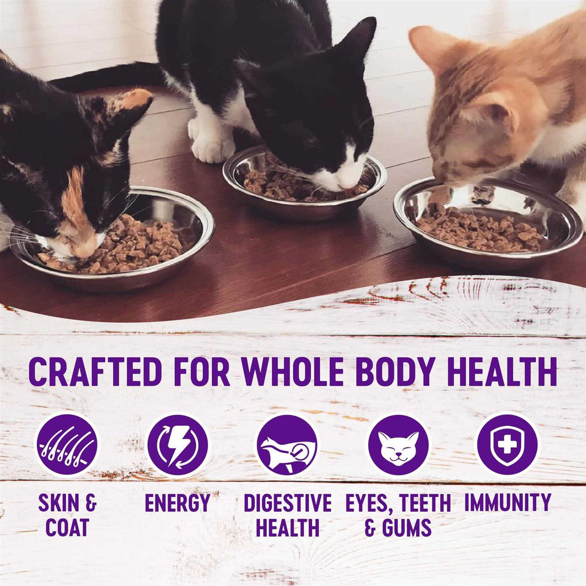 Chicken & Turkey Wet Adult Cat Food Variety Pack V95874