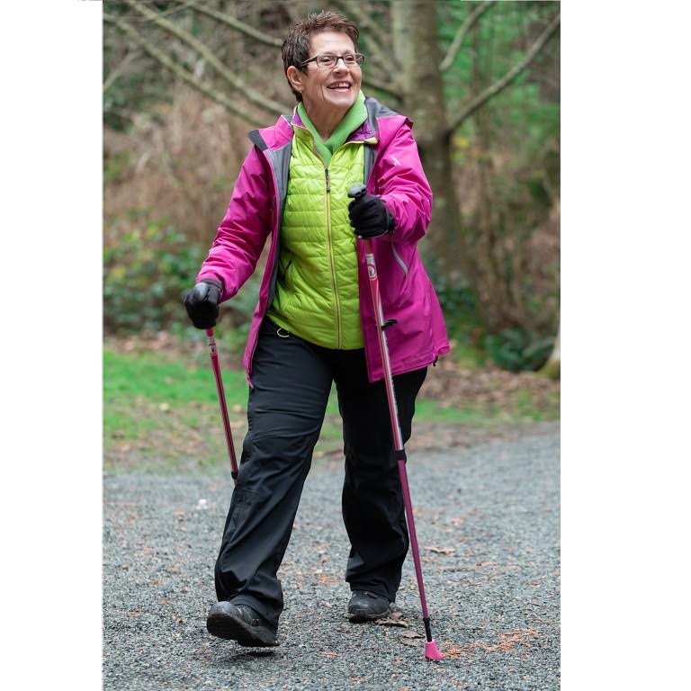 Walking/Hiking/Trekking Poles H9067