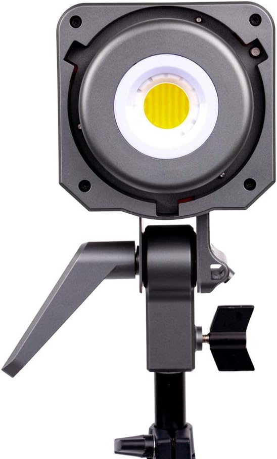 Bi-Color LED Video Light B878364