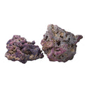 Life Rock H684