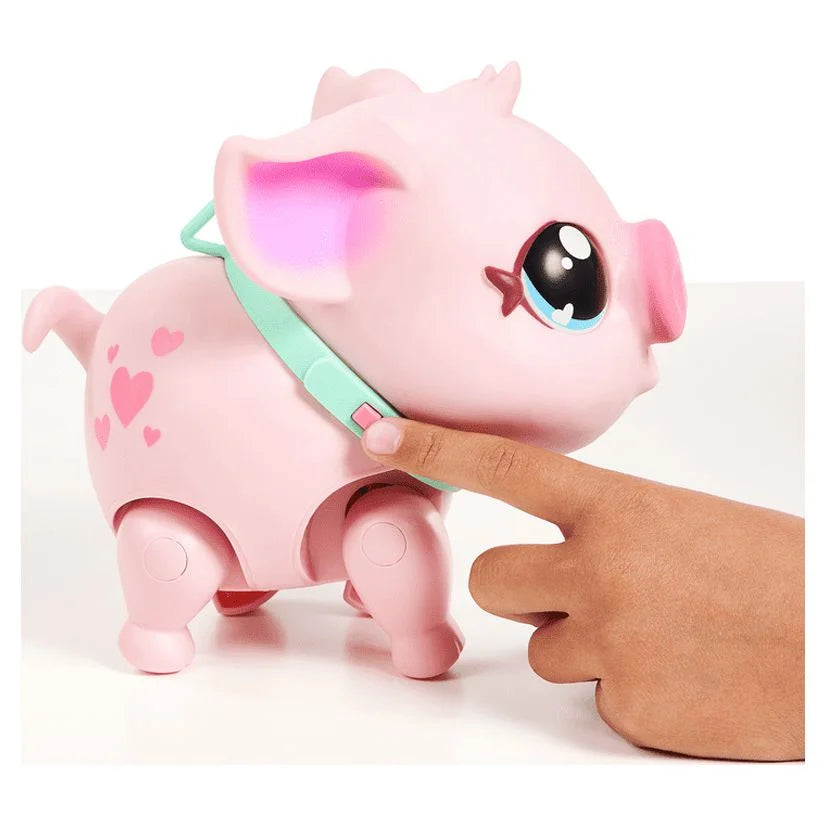 My Pet Pig A67208
