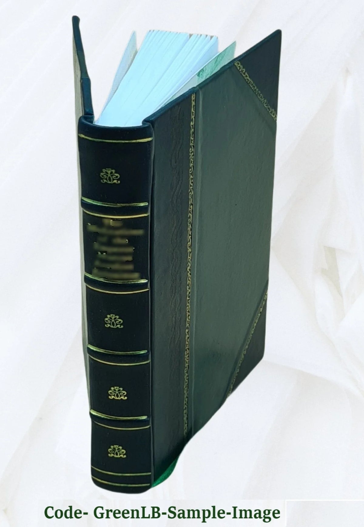 Rabbi Shalom in the shores of the Black Sea V63597