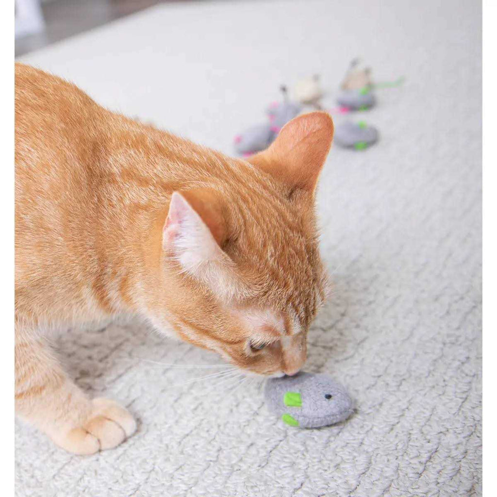 Catnip Toys X116