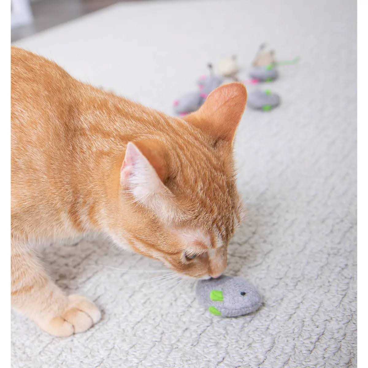 Catnip Toys X116