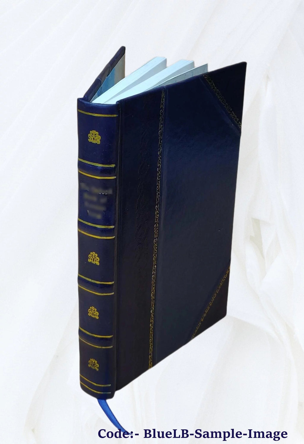 Tableaux Exposes dans la Galerie du Musee Royal Leather Bound X395309