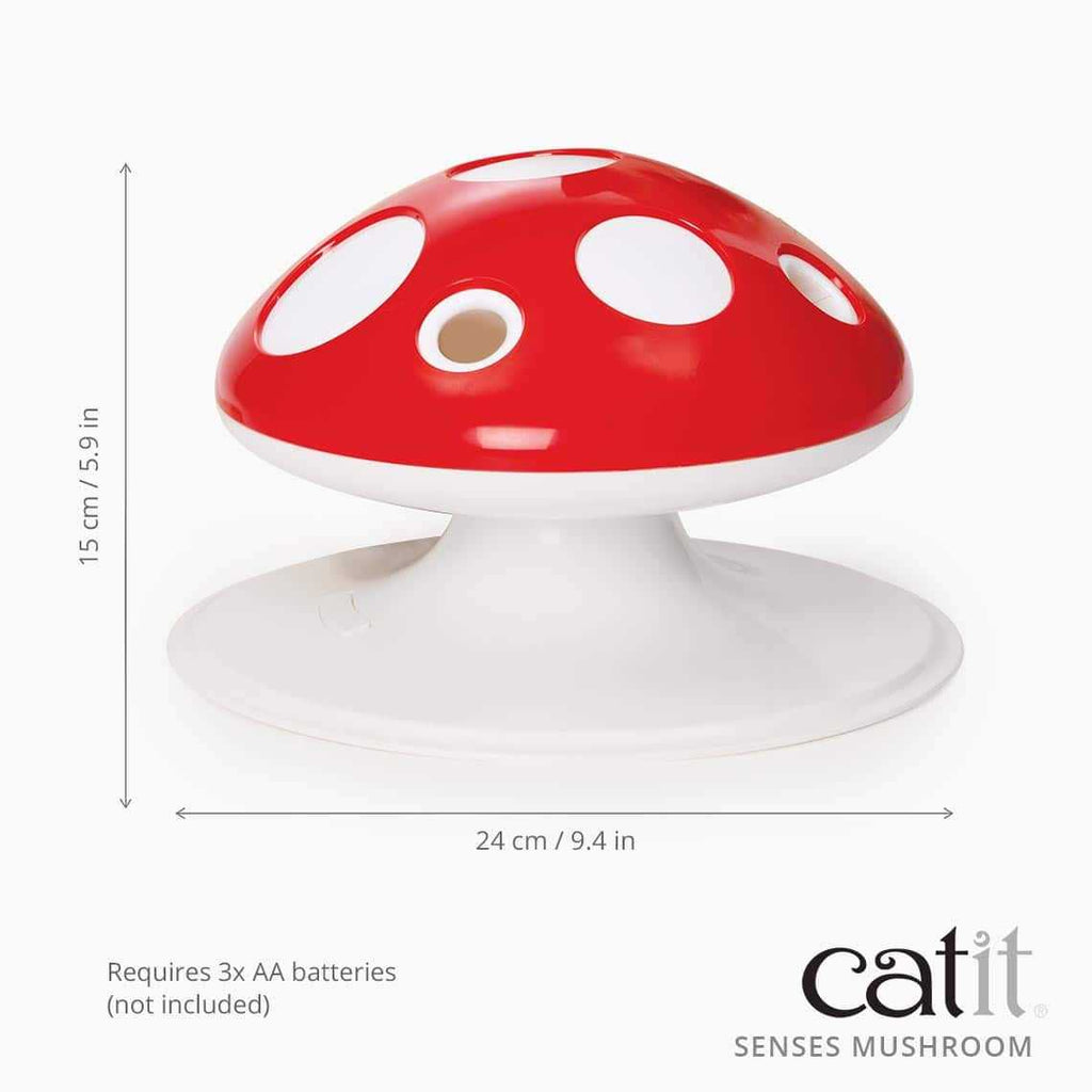 Interactive Cat Toy Z55303