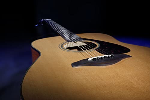 Natural Solid Top Acoustic Guitar D594