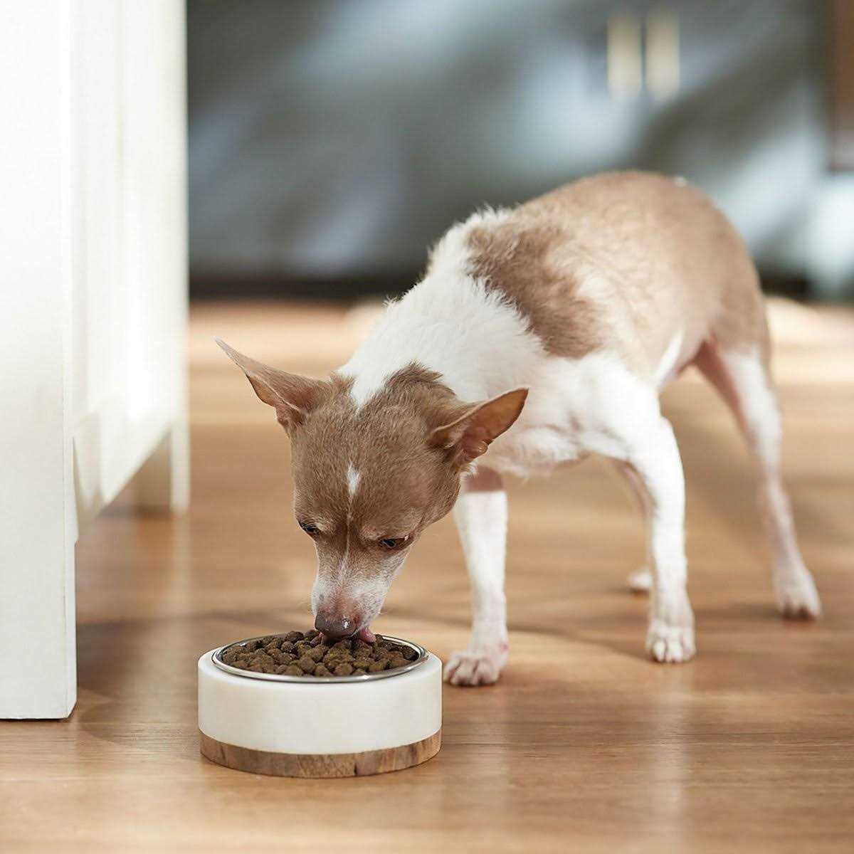 Hi-Pro Plus Formula Dry Dog Food E860220