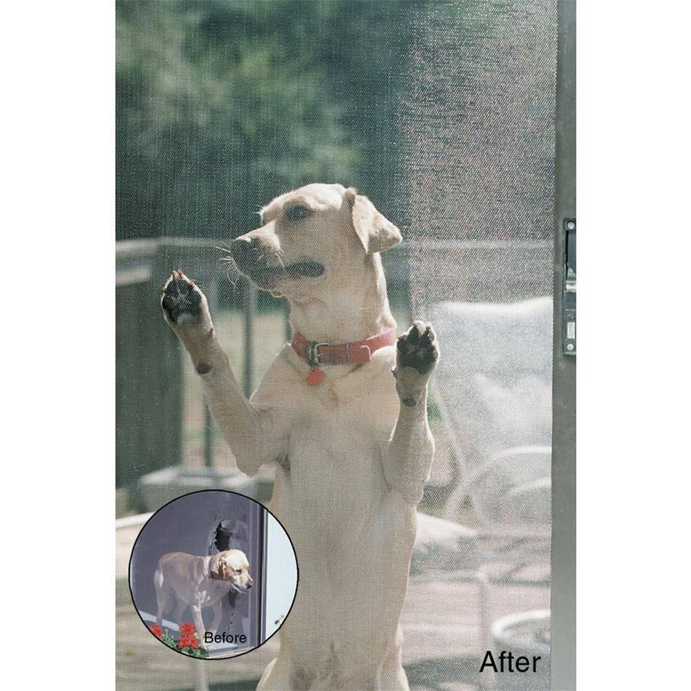 Gray Petscreen Y458