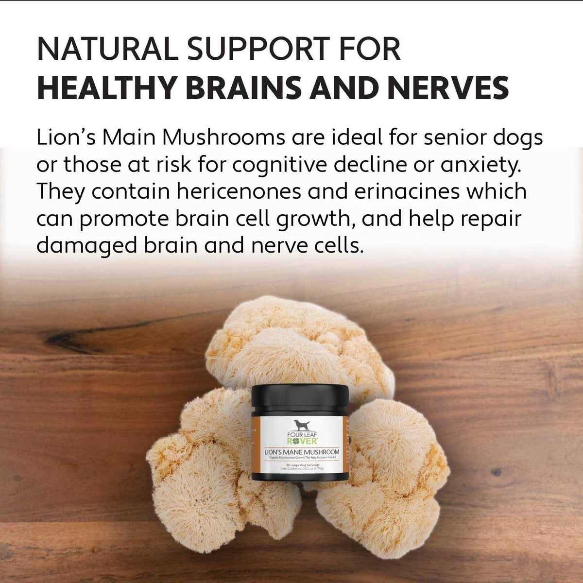 Organic Mushroom Extract for Dogs H64179