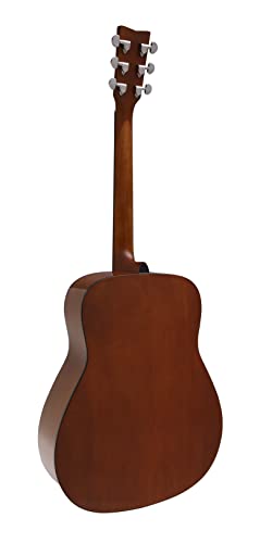 Natural Solid Top Acoustic Guitar D594