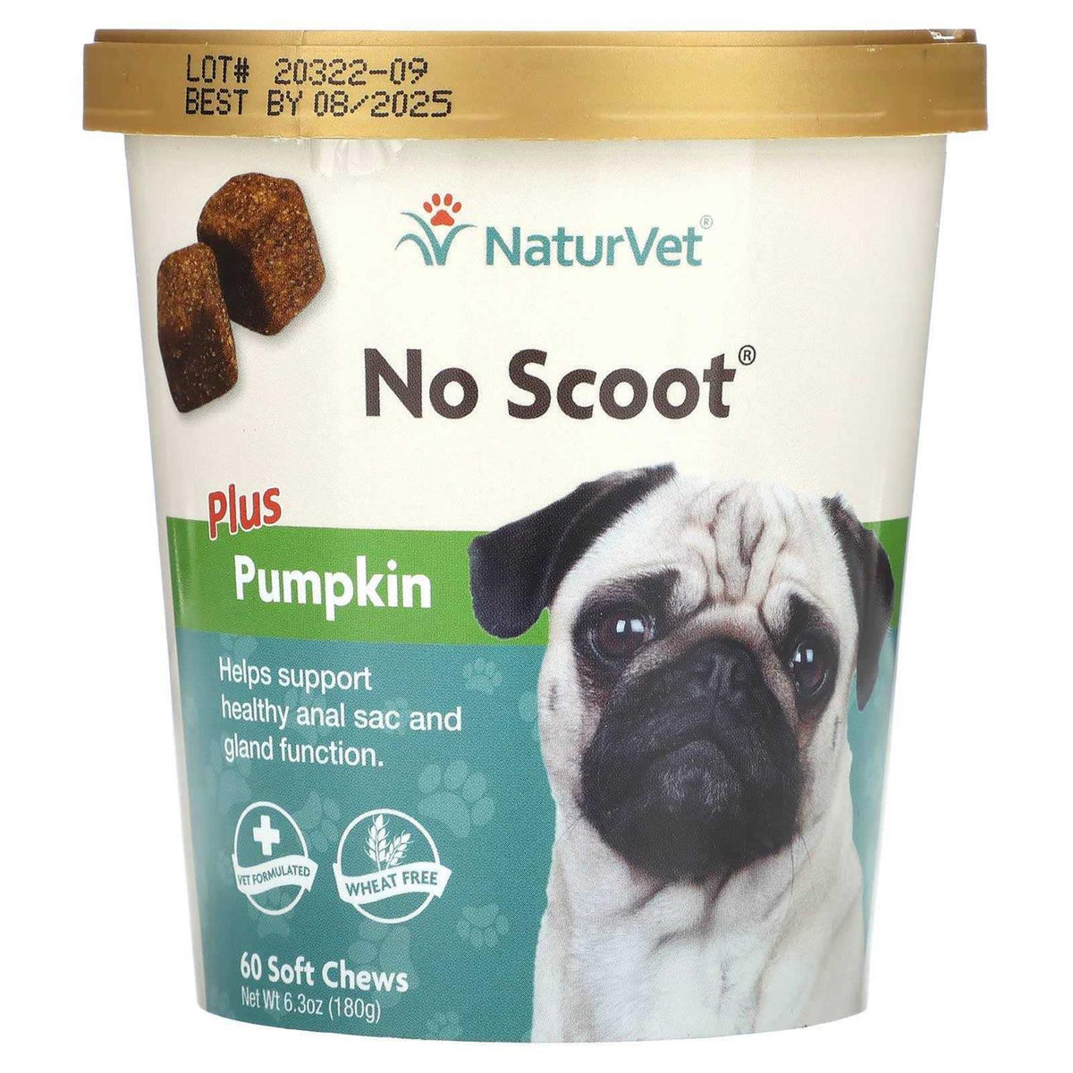 Pumpkin for Dogs Q2590