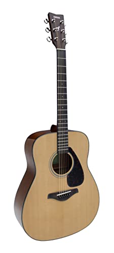 Natural Solid Top Acoustic Guitar D594