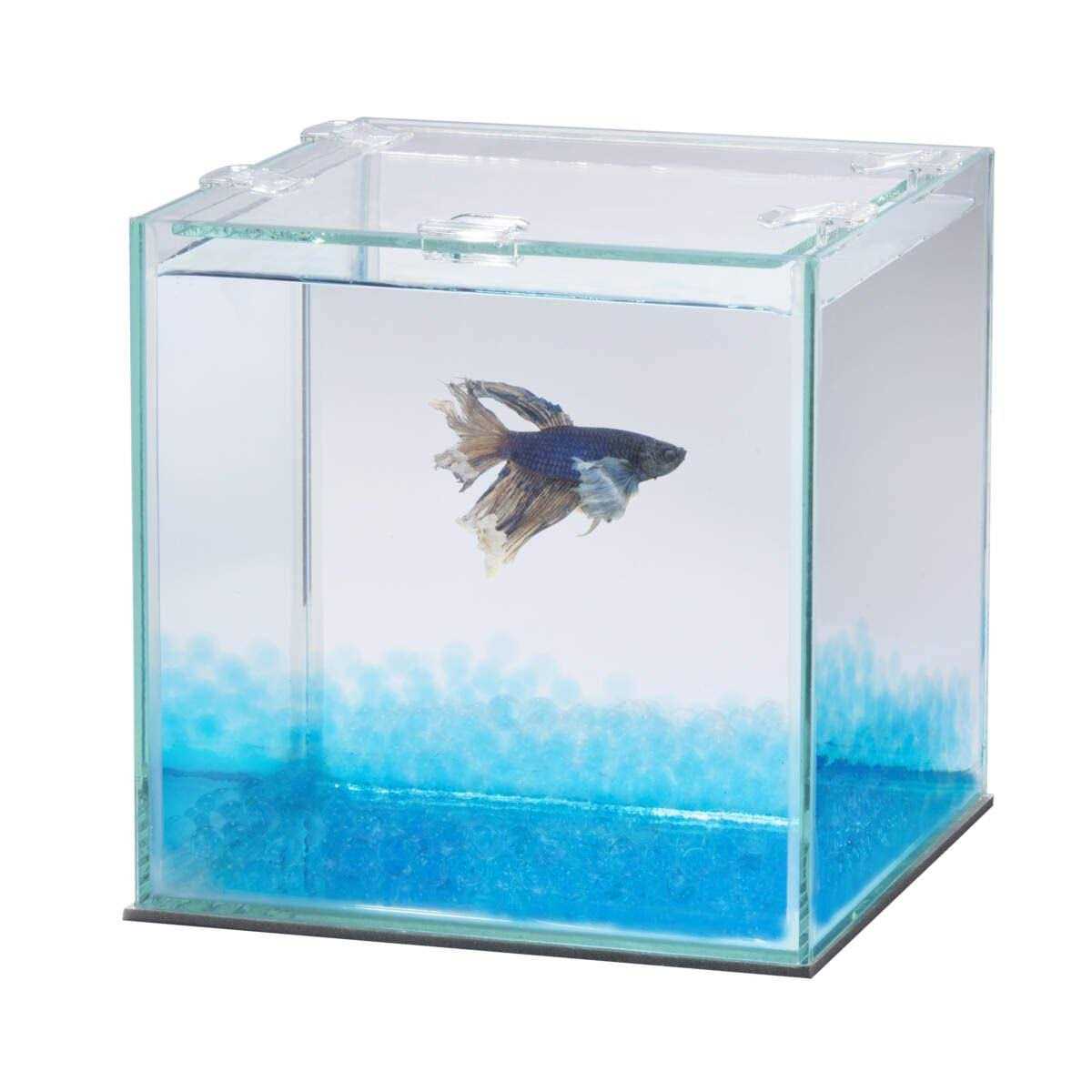 Betta Beads Y5542