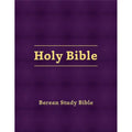 Eggplant Hardcover Bible G733053