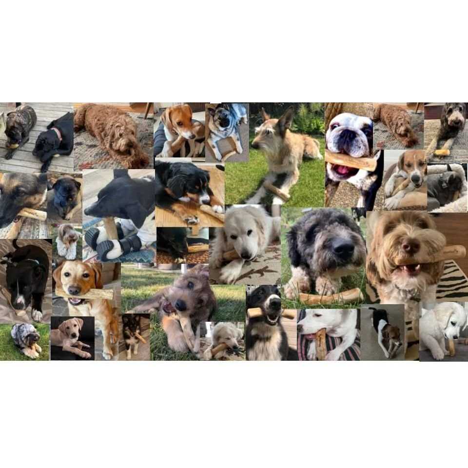 All-Natural Coffee Wood Dog Chew Toys F479729