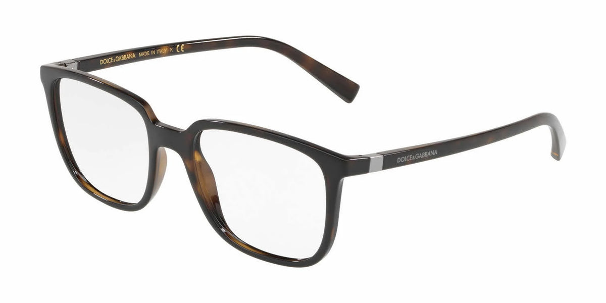 Havana Eyeglasses Q54359
