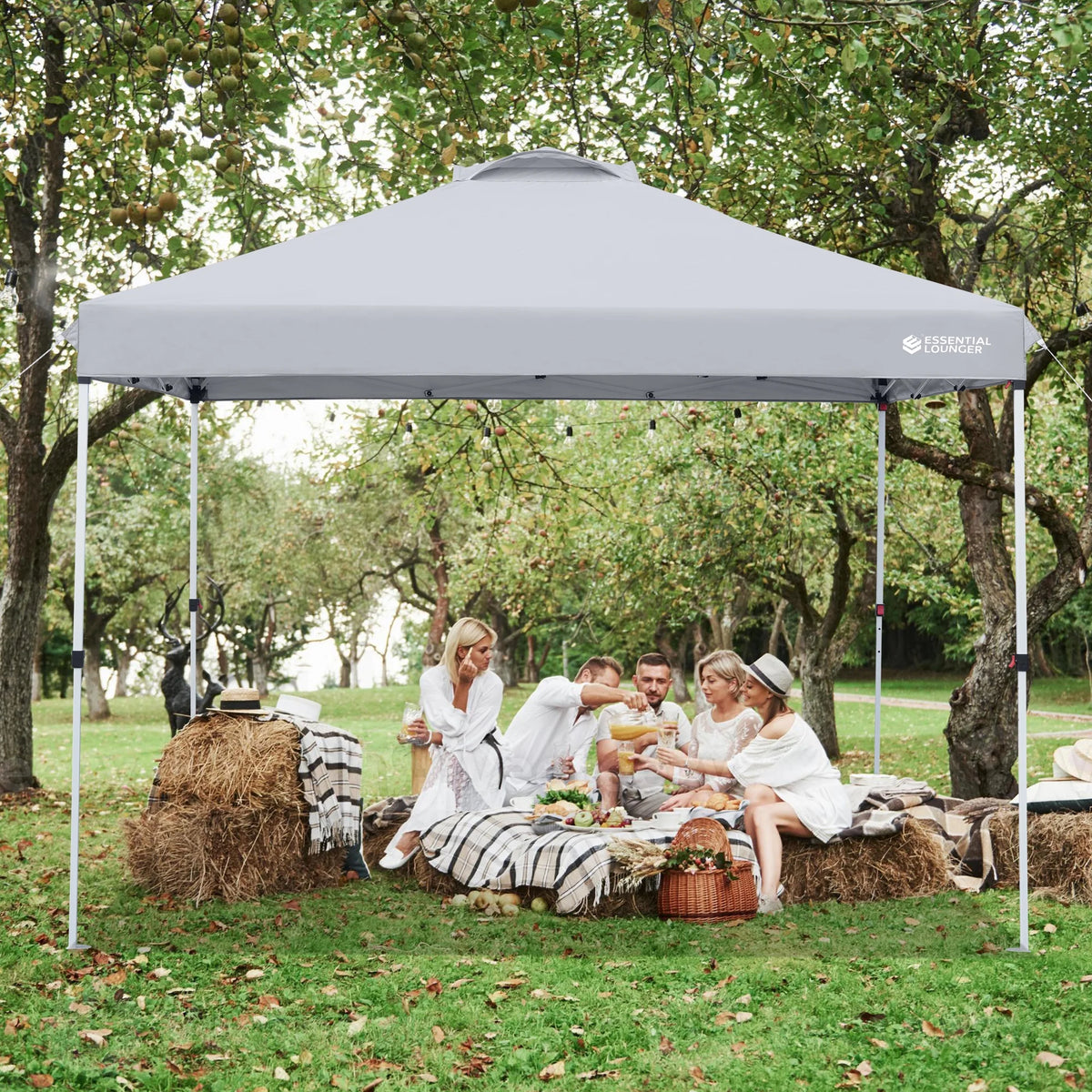Grey 10x10ft Pop Up Outdoor Canopy Tent with Wheeled Carrying Bag L6792