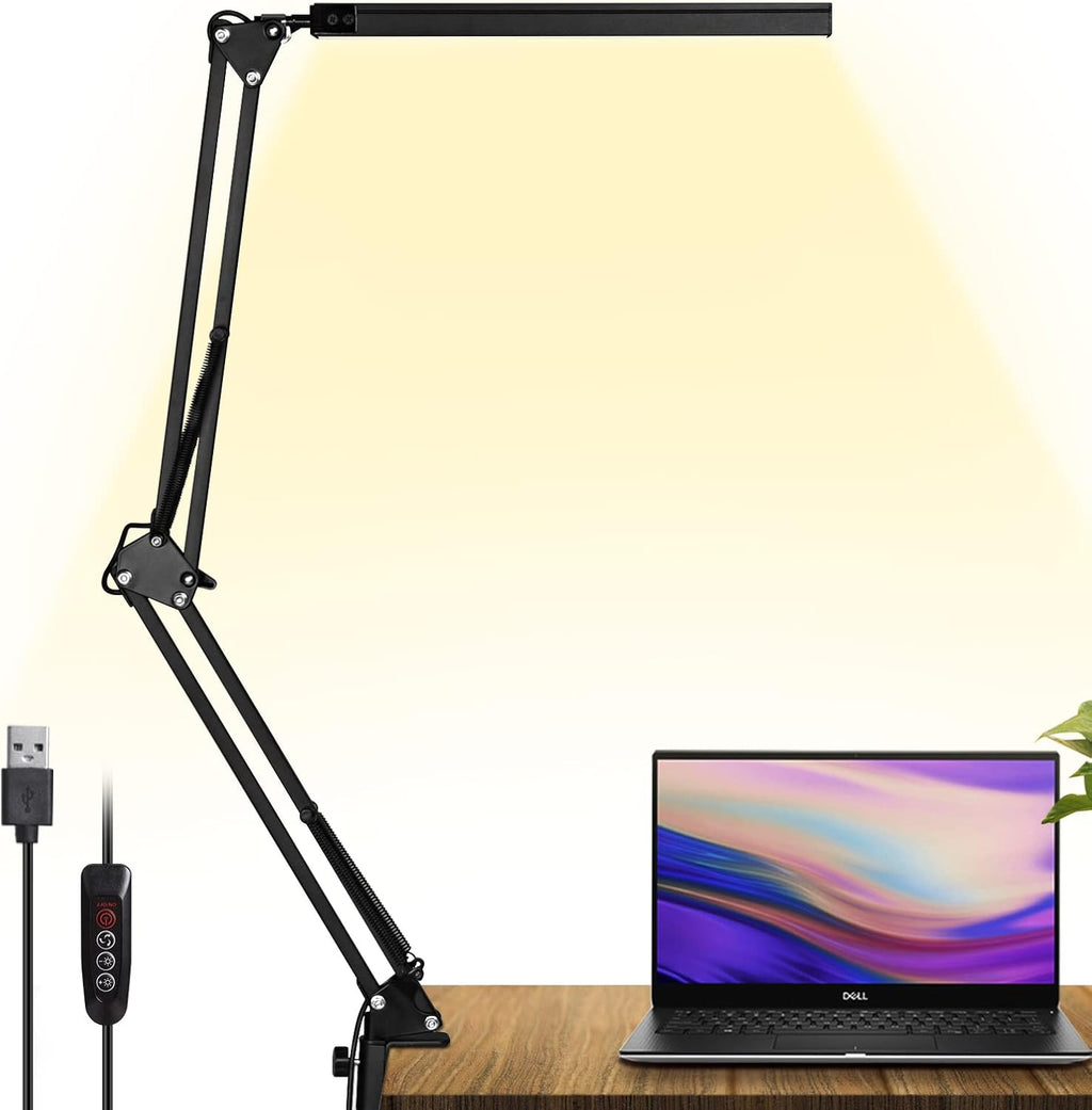 LED Desk Lamp with Clamp and Round Base R707024