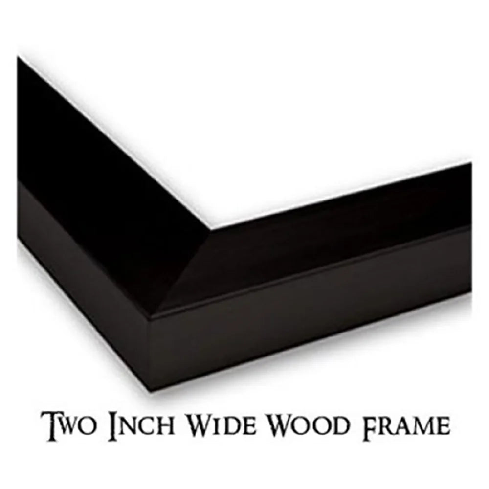 Black Modern Framed Museum Art Print V34767