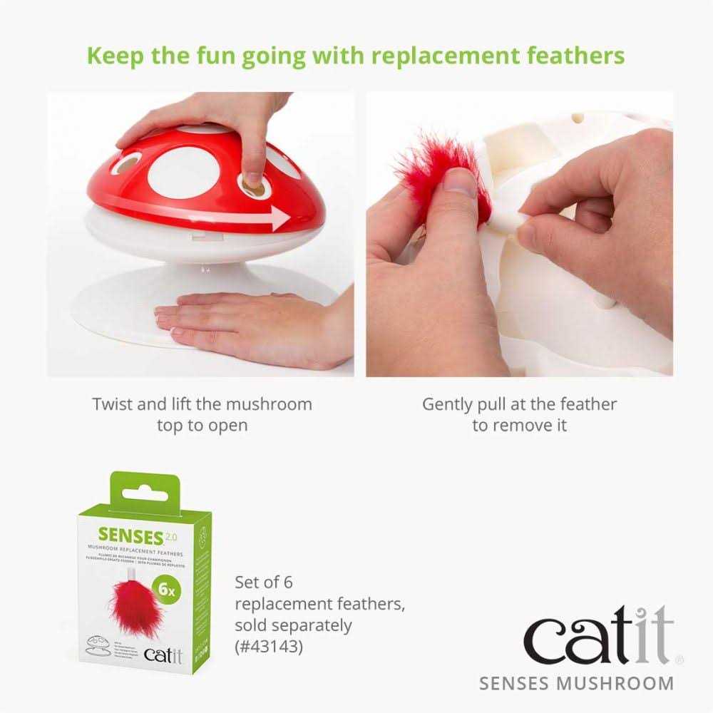 Interactive Cat Toy Z55303