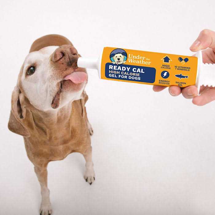High-Calorie Supplement for Dogs L535