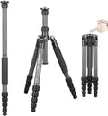 Carbon Fiber Travel Tripod Monopod with 36mm Panoramic Ball Head and Carrying Case P757