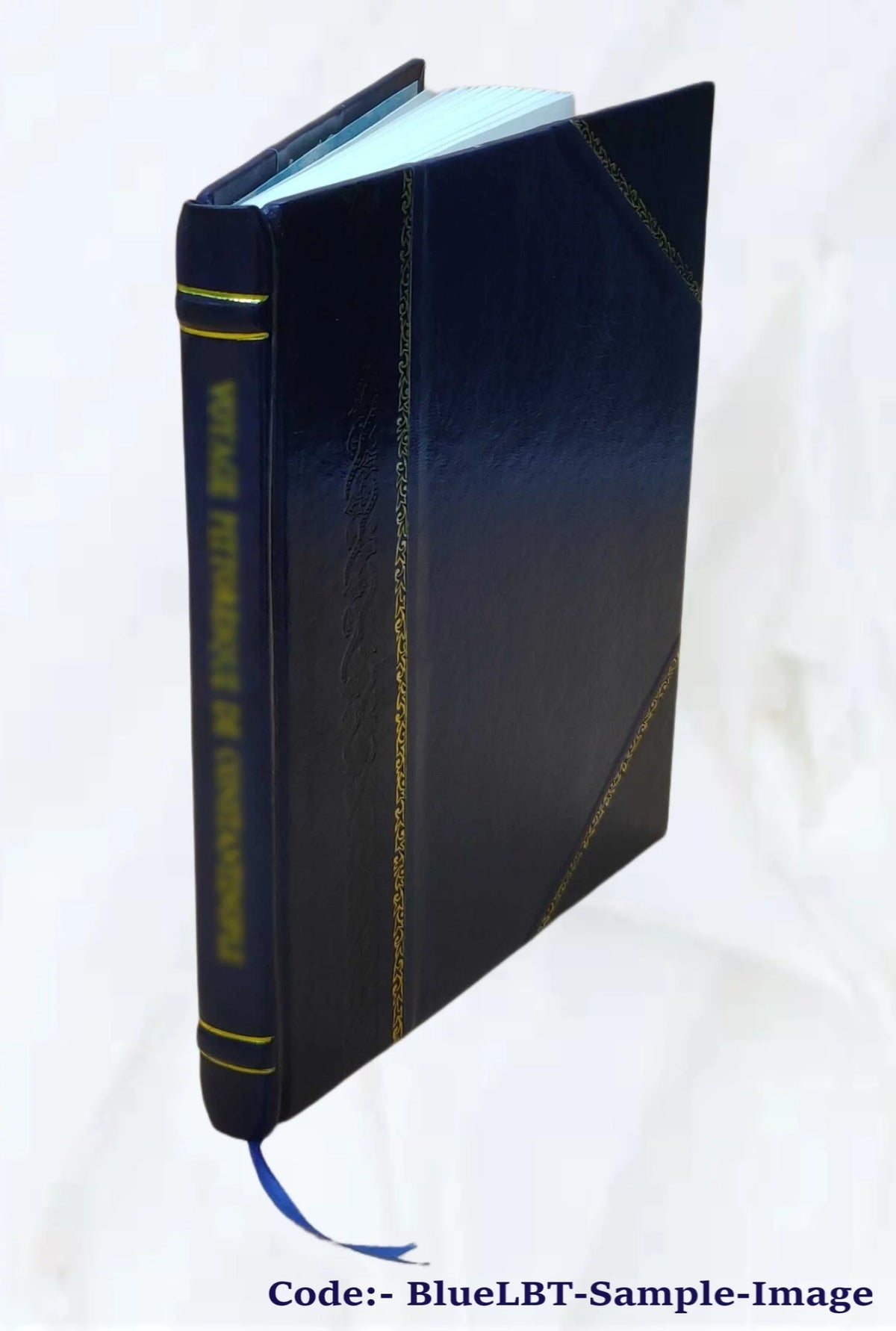 Leather Bound B667206