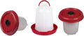Red Chicken Drinker 10 L. with Plung X5069