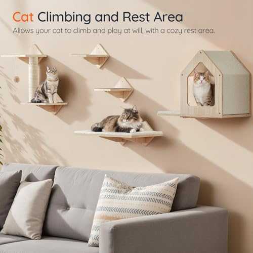 Natural Wood Cat Wall Shelves Set of 5 with House Steps Scratching Post Perch G7549