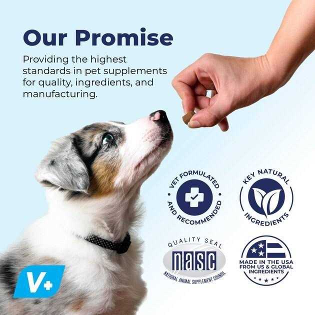 Vet Strength Chew Z262621
