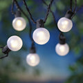 20-Count LED Frosted Globe Outdoor String Lights T79176