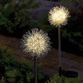 Set of 2 LED Solar Garden Stakes D372837