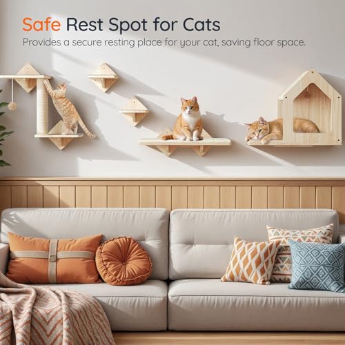 Natural Wood Cat Wall Shelves Set of 5 with House Steps Scratching Post Perch G7549