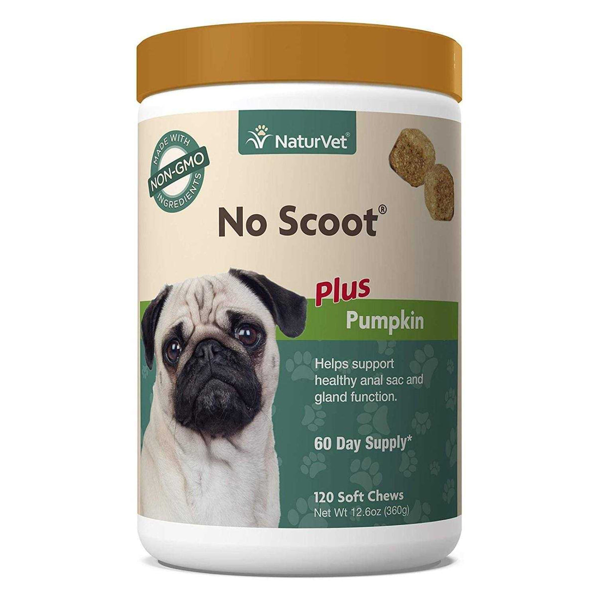 Pumpkin for Dogs Q2590