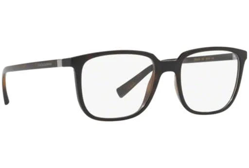 Havana Eyeglasses Q54359