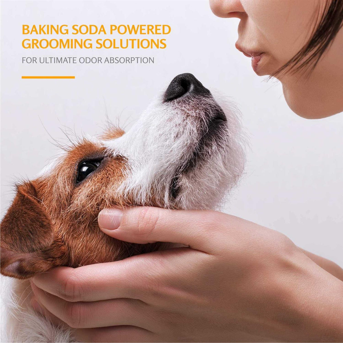 Deodorizing Dog Shampoo O60971