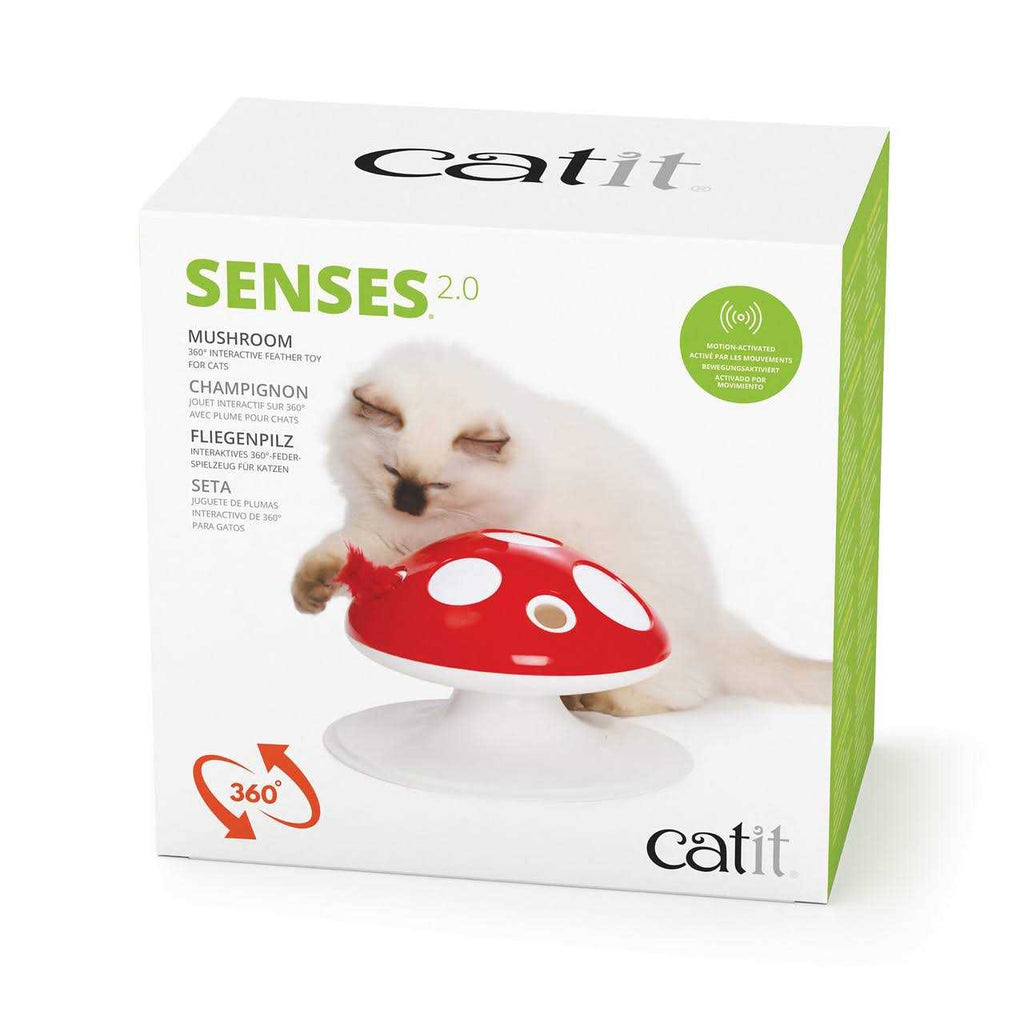 Interactive Cat Toy Z55303