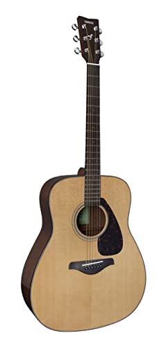 Natural Solid Top Acoustic Guitar D594