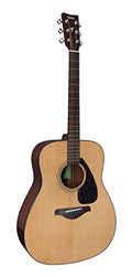 Natural Solid Top Acoustic Guitar D594