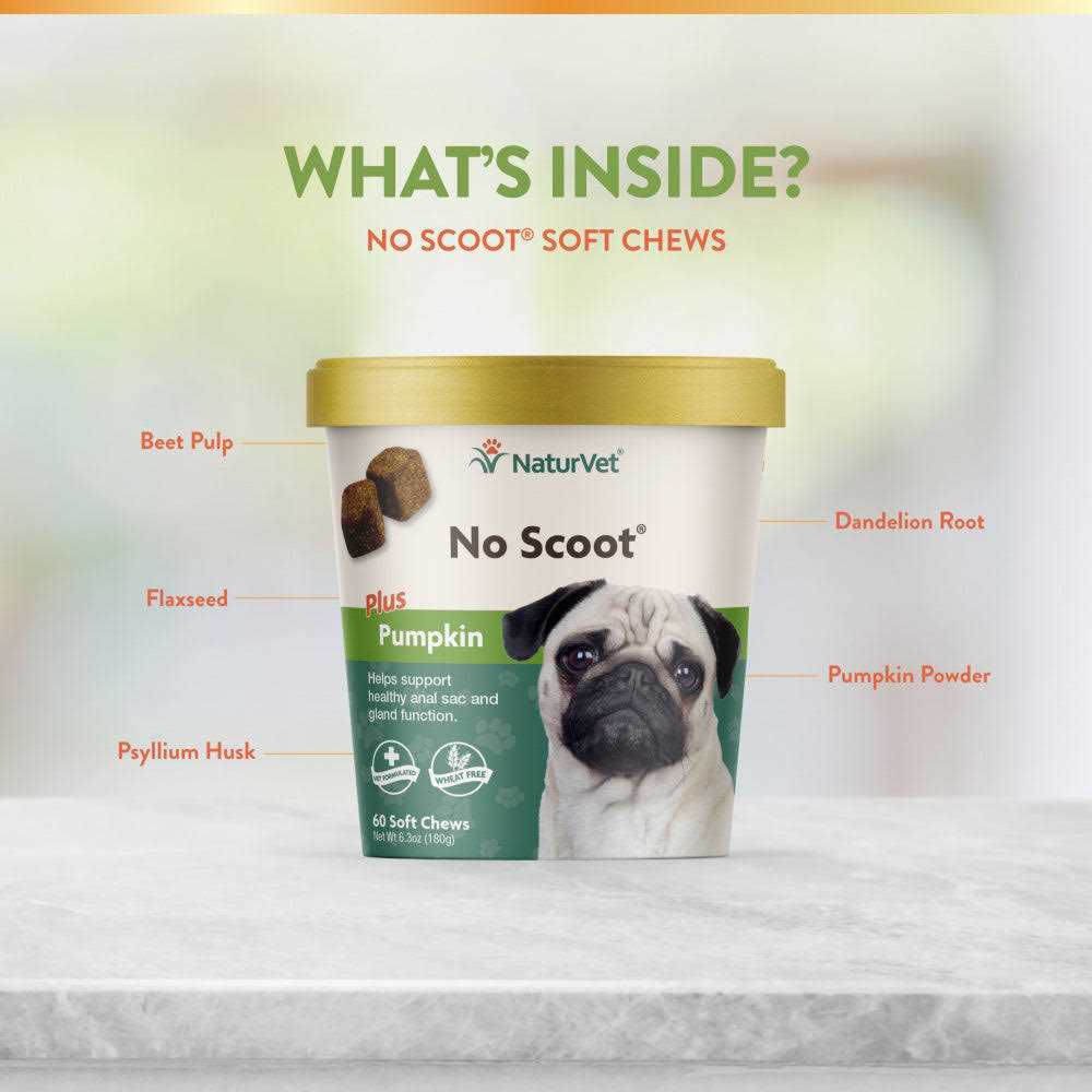 Pumpkin for Dogs Q2590