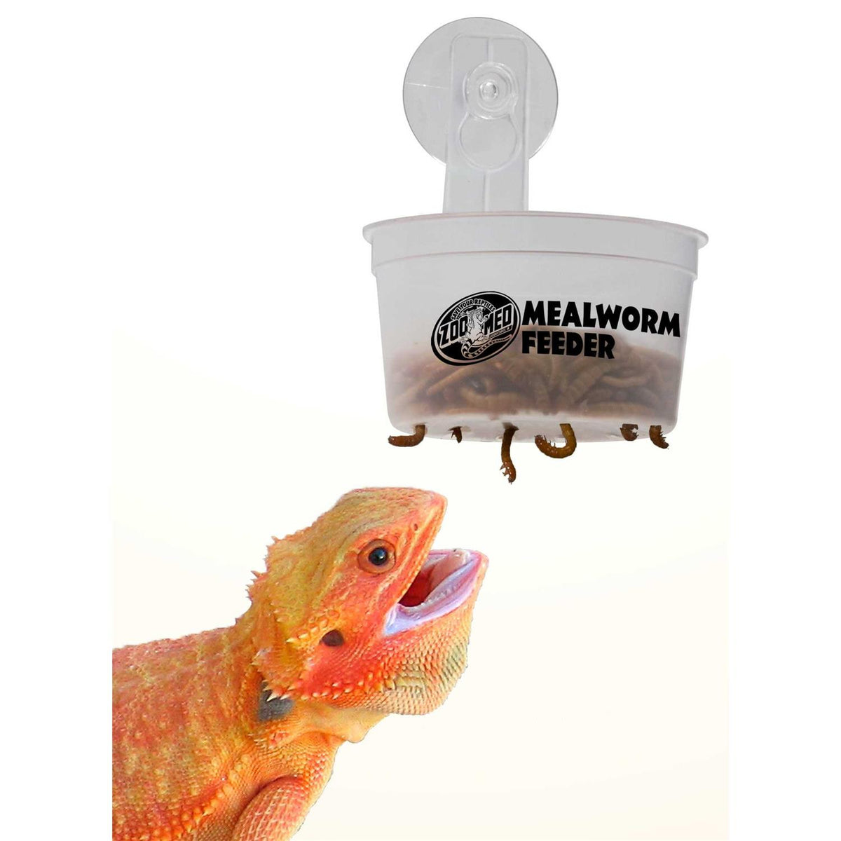 Hanging Mealworm Feeder Y802