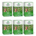 Organic Green Herbal Tea, Caffeine-Free, 18 Infusion Bags, 6 Pack P4145