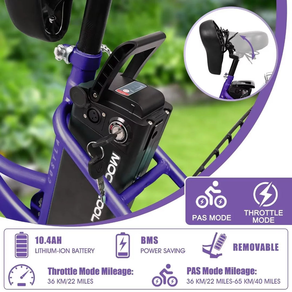 3 Wheel 500W Electric Trike N788388
