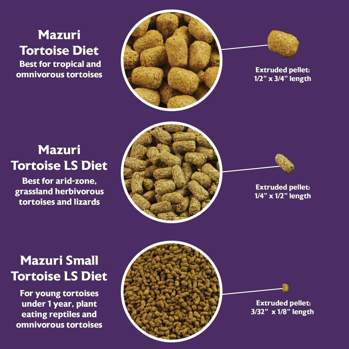 Small Tortoise Diet Food M4662