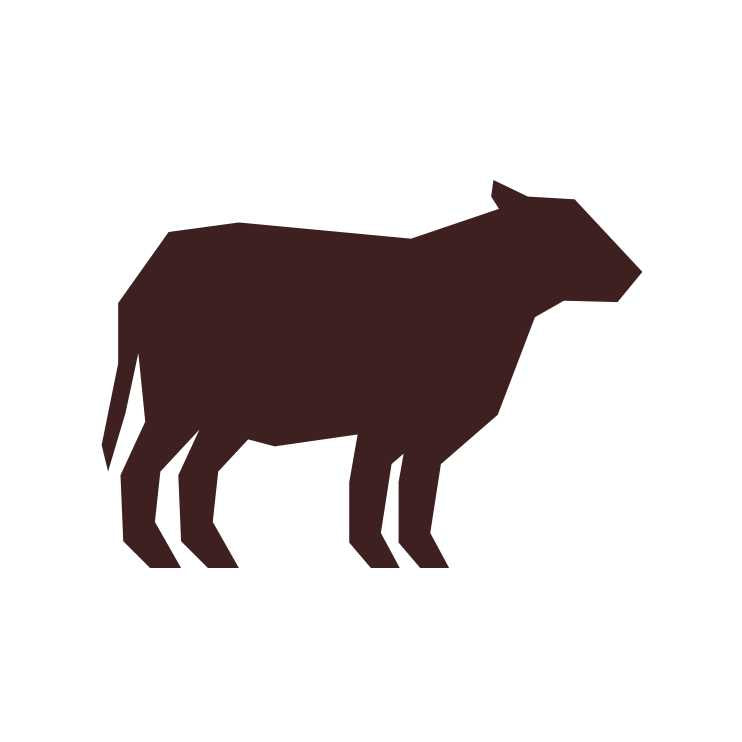Freeze Dried Beef Dog Food U665