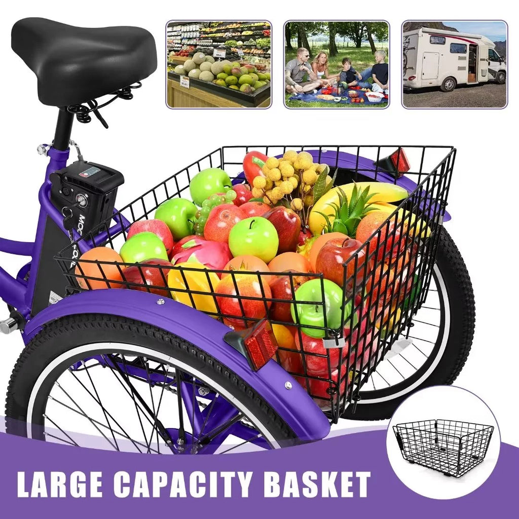 3 Wheel 500W Electric Trike N788388