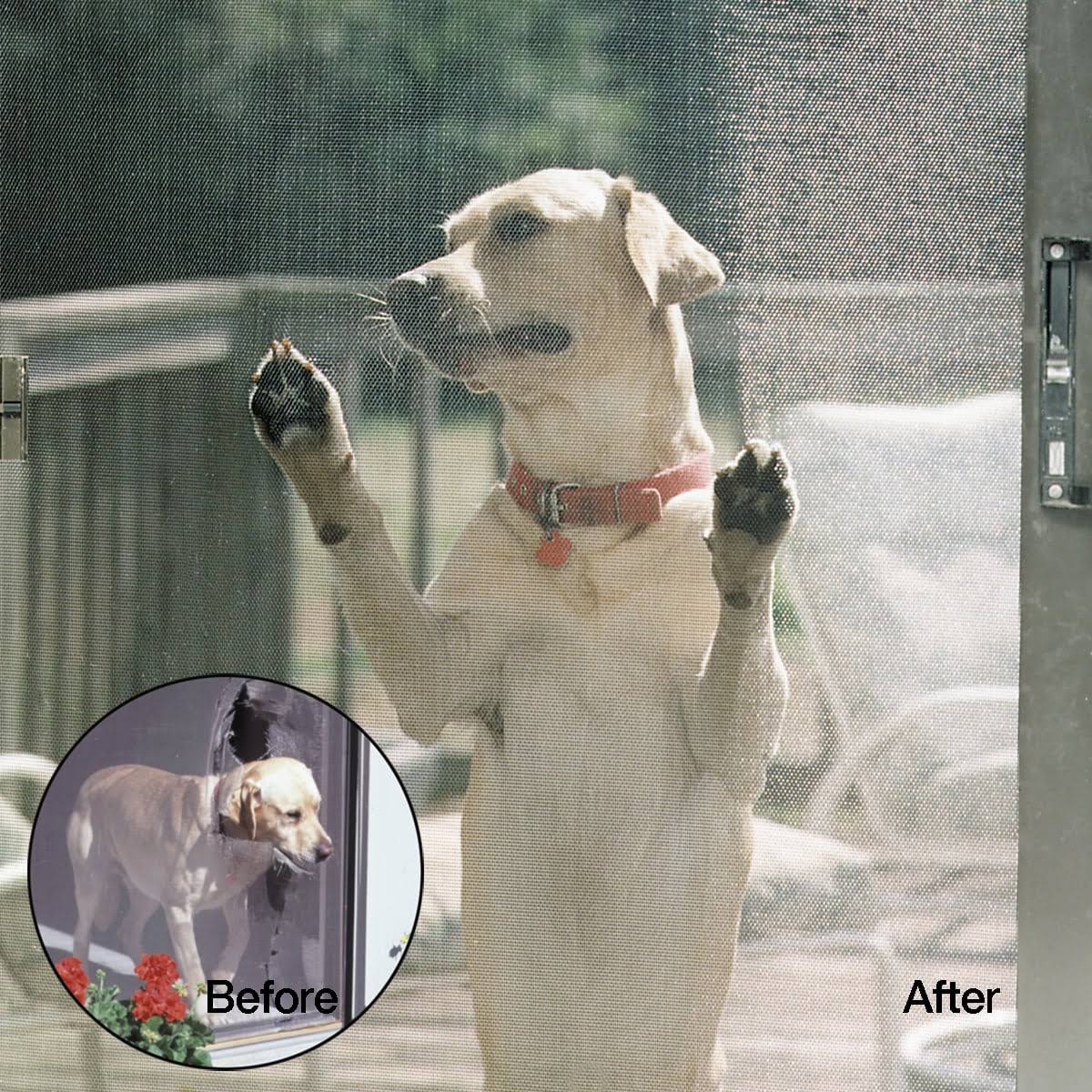 Gray Petscreen Y458